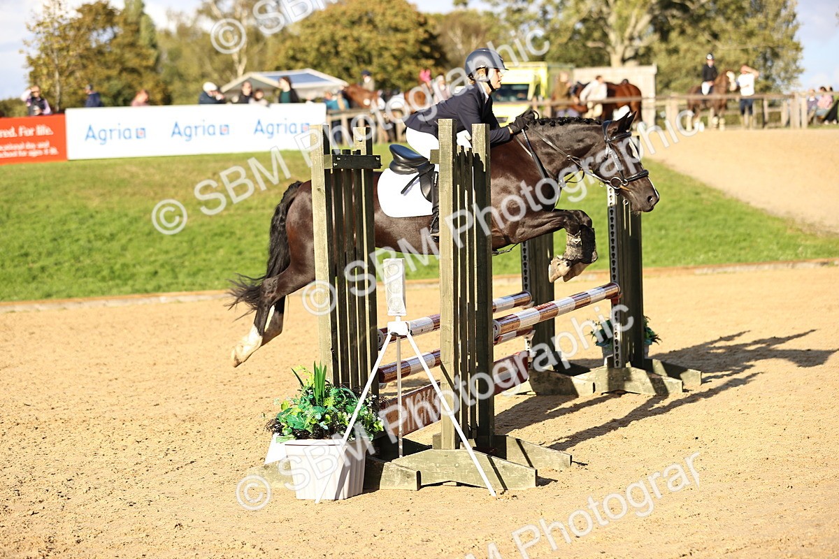 SBM_51937 - J10 - Junior Pony 75cm Championship