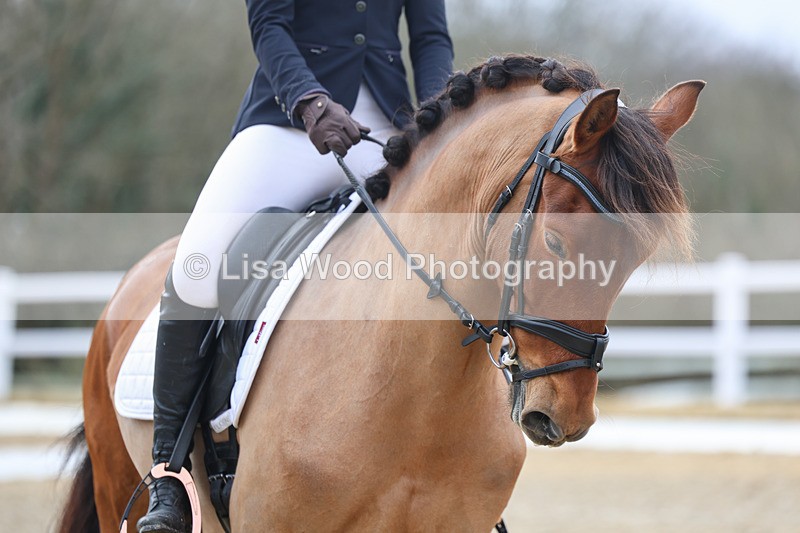 3E7A0496 - Class 3: Prelim 1 2024 Section A - part two