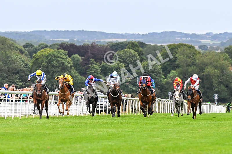 150824-Race 3-Go On Rosie-4124 - Race 3