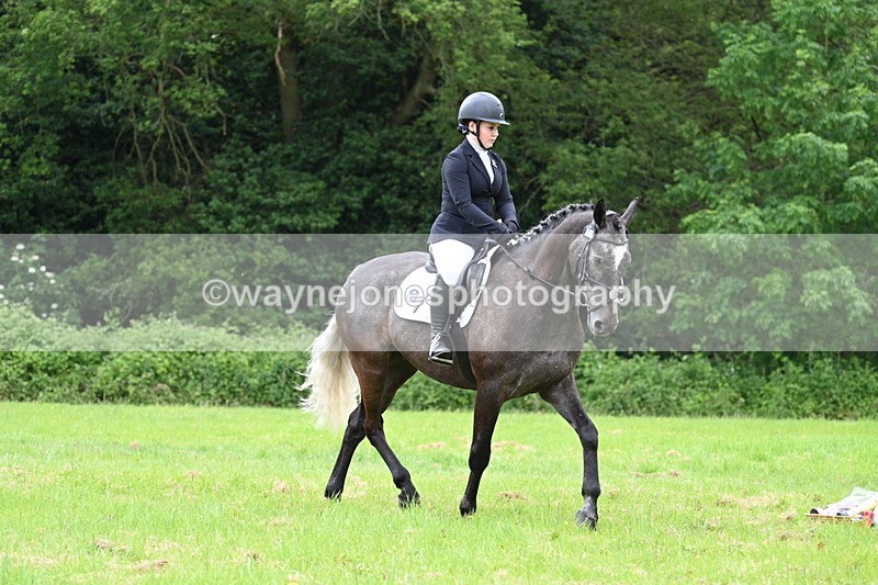 WJ7_2097 - Class 12A Coloured Class
