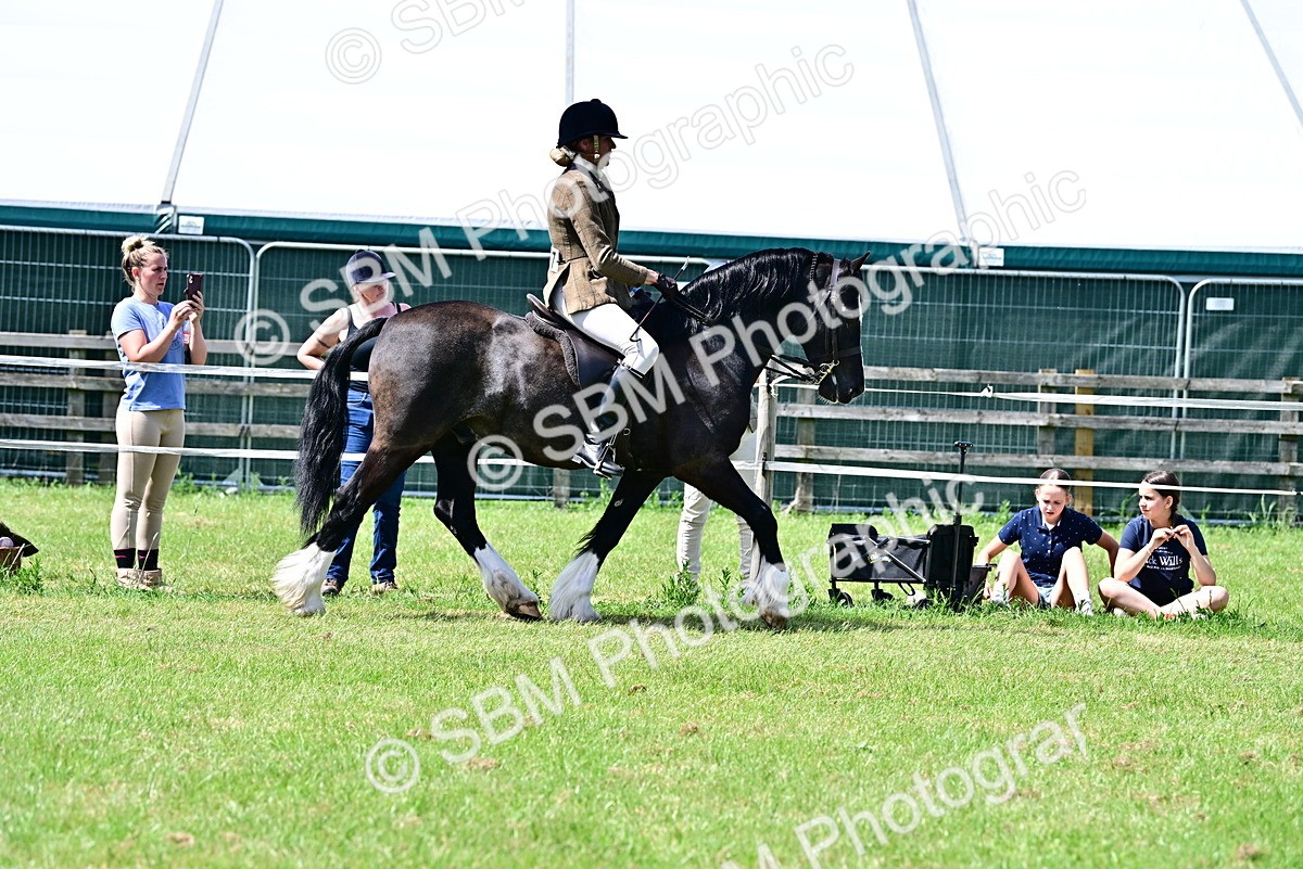 SBM_07878 - Class 61-62 - TSR  M&M Ridden Amateur of the Year