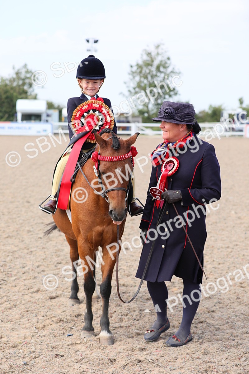 SBM_14096 - Class 309 Lead Rein Pony