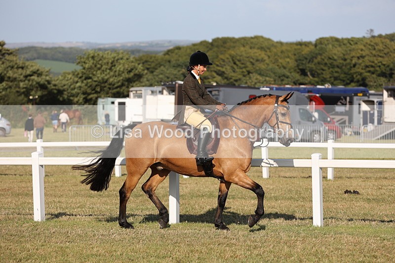 JPP_3279 - Class 21: Working Hunter 80cm