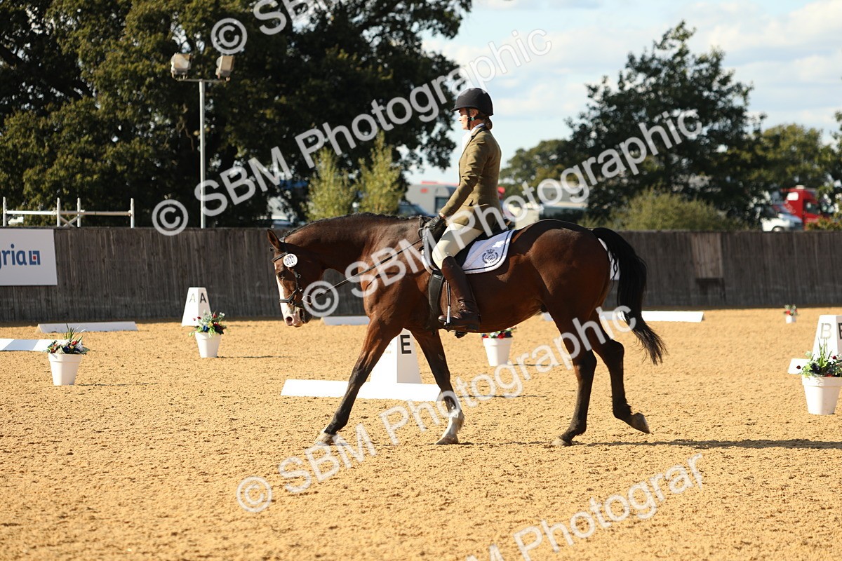 SBM_26893 - D17 - Grand Tour Championship - Novice 27