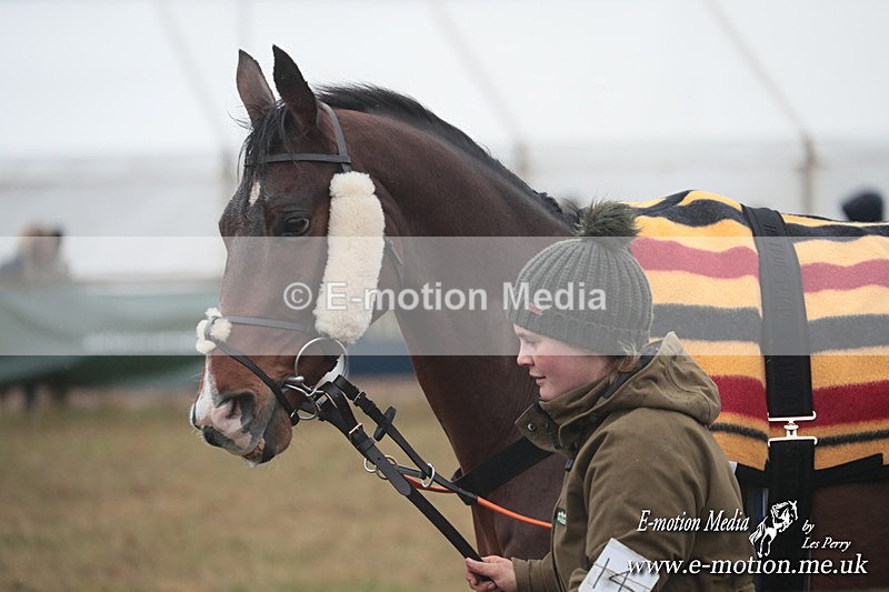 PtP 260125 396 - Cocklebarrow Point-to-Point racing with the Heythrop Hunt 26/01/25