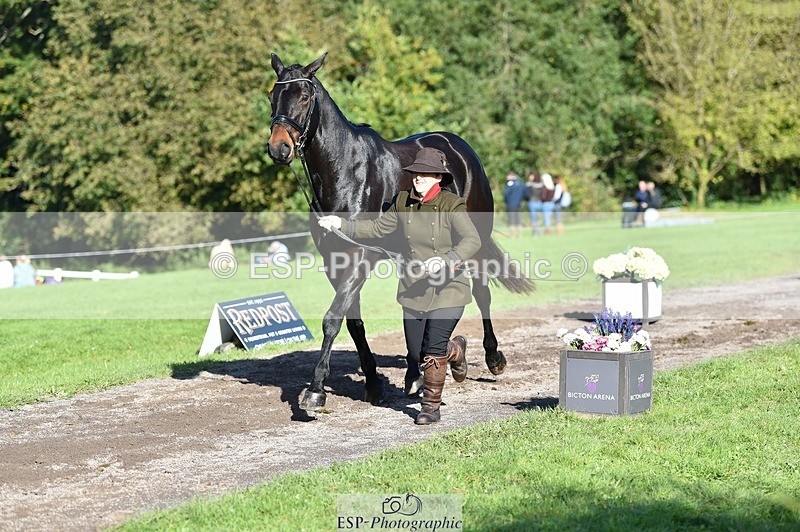 231022-110426-23698 - 506-WOODSTOCK-Gemma.Wood-TrotUp+SJ