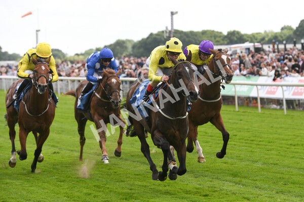 yr11062022r6-23 - Race 6 4.15pm Reg Griffin Appreciation EBFstallions.com Maiden Stakes