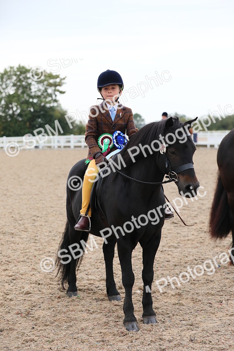 SBM_18244 - Class 316 Best Pony/Rider Combination