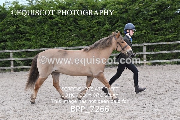 BPP_7266 - RING 1  (RIDDEN HORSES / IN HAND / VETERAN ETC)