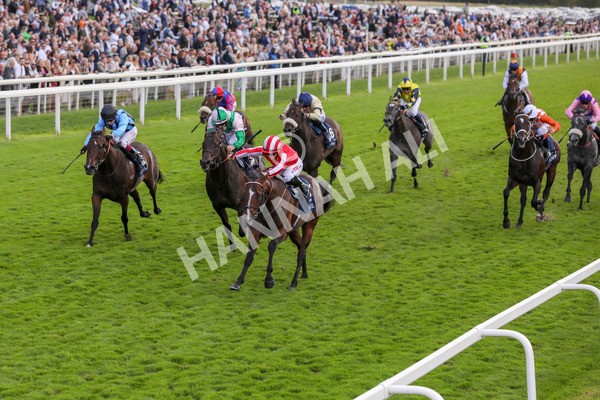 230824-Race 4-Bradsell-8409 - Race 4 3.35pm Coolmore Wootton Bassett Nunthorpe Stakes