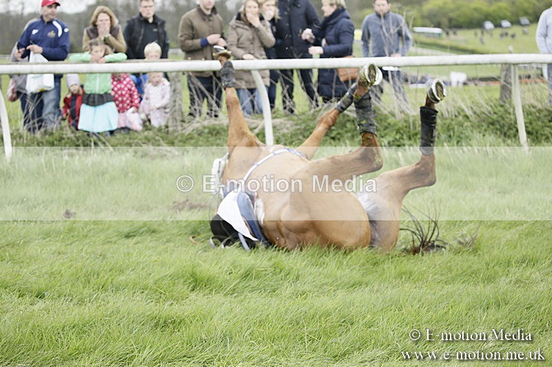PtP 170417 44 - Old Berks Point-to-Point Lockinge 17/04/17