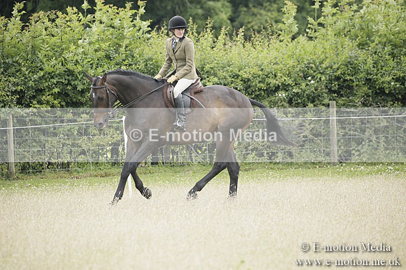 B230619-0718 - Bourne Valley Riding Club Summer Show 23/06/19