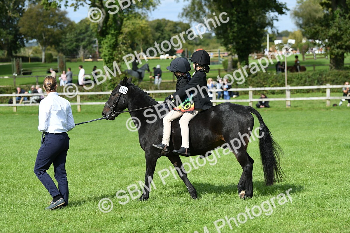 SBM_46971 - S12 - Family Horse & Pony