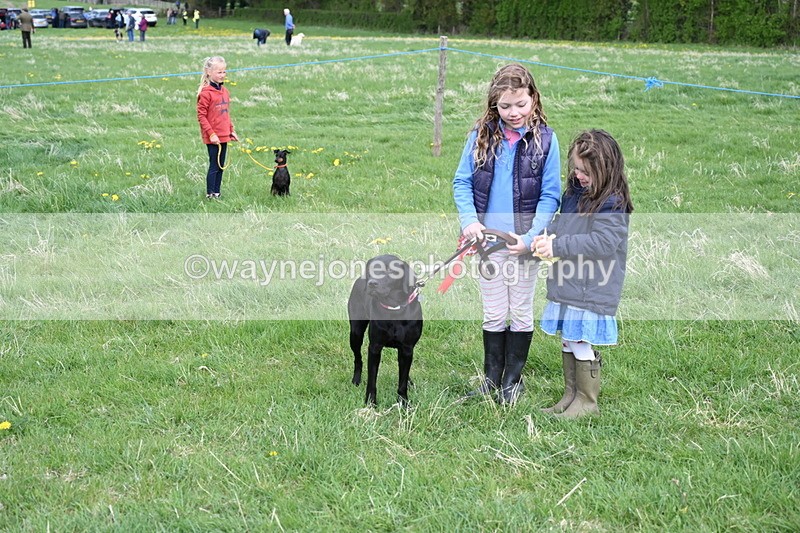 WJ6_8161 - Class 2 Best Pedigree