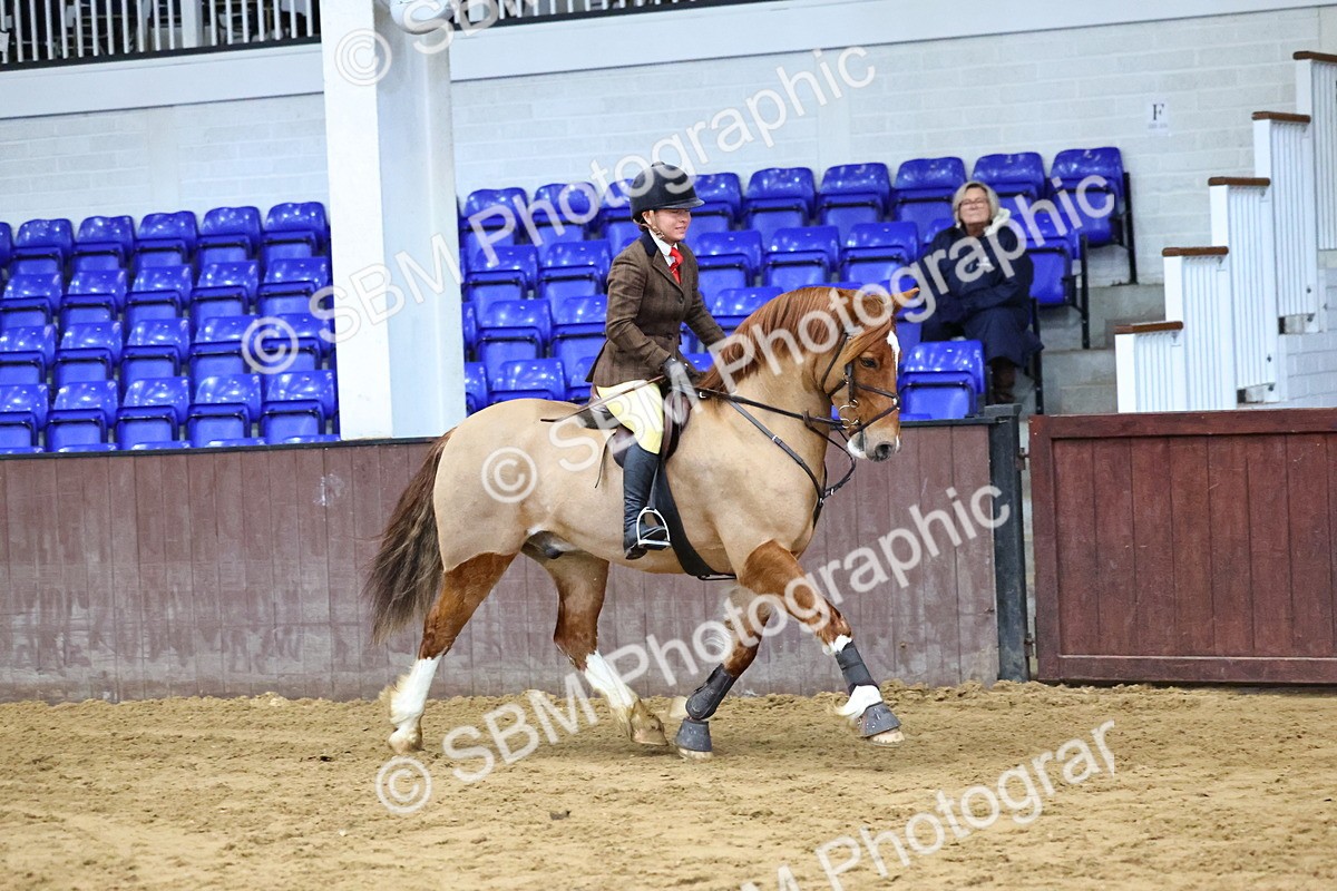 SBM_003598 - Class 37 - 80cm Training Stakes