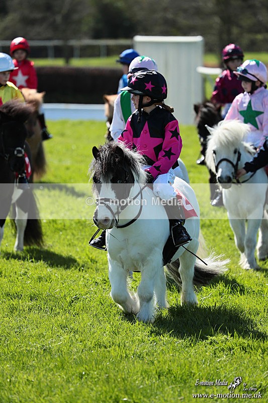 Shet 060426 211 - Shetland Pony Racing Paxford Races Easter Mon 06/04/26