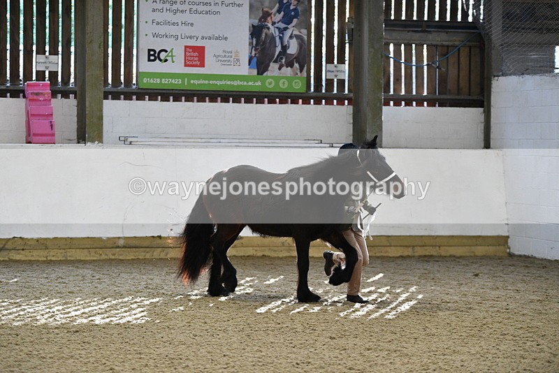 WJ5_3498 - Class 1 Youngstock