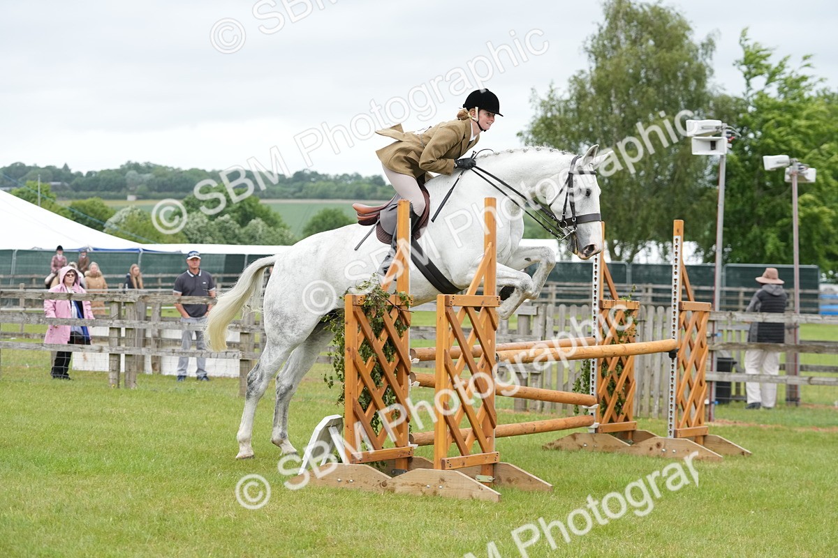SBM_12529 - Class 97-98 - LIHS BSHA Rising Star Working Show Horse Hunter