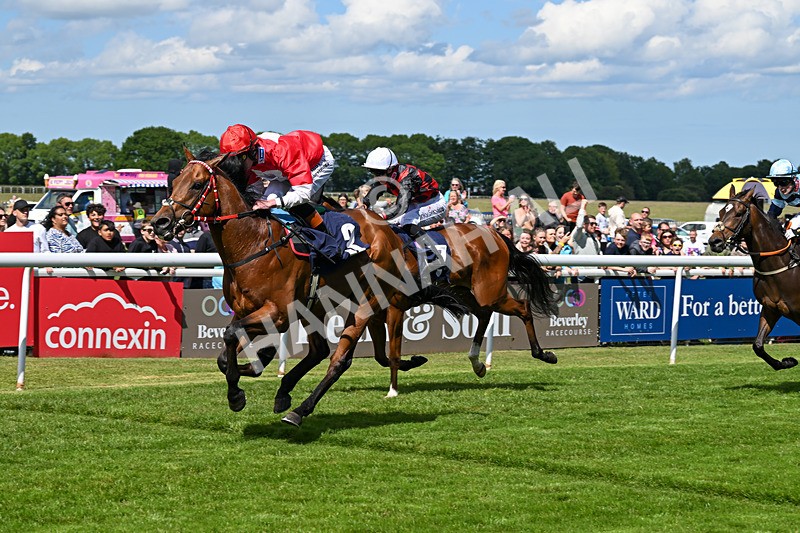 280525-Race 3-Rogue Invader-4845 - Race 3