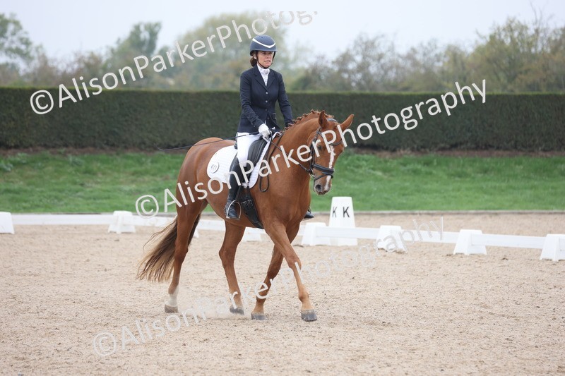 20251012-0639 - Class 5 - Elementary 5