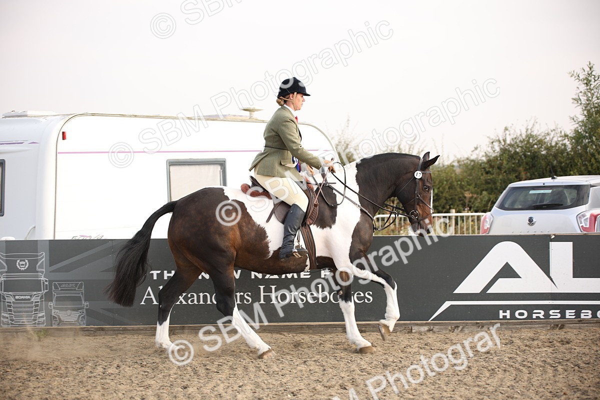 SBM_10284 - Class 402 Riding Club Horse