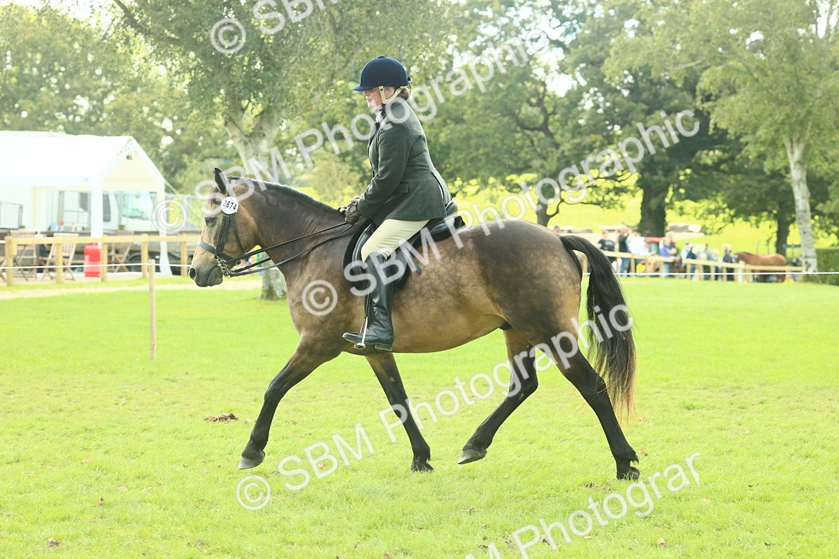 SBM_62631 - S63 - Other Coloured Horse Ridden