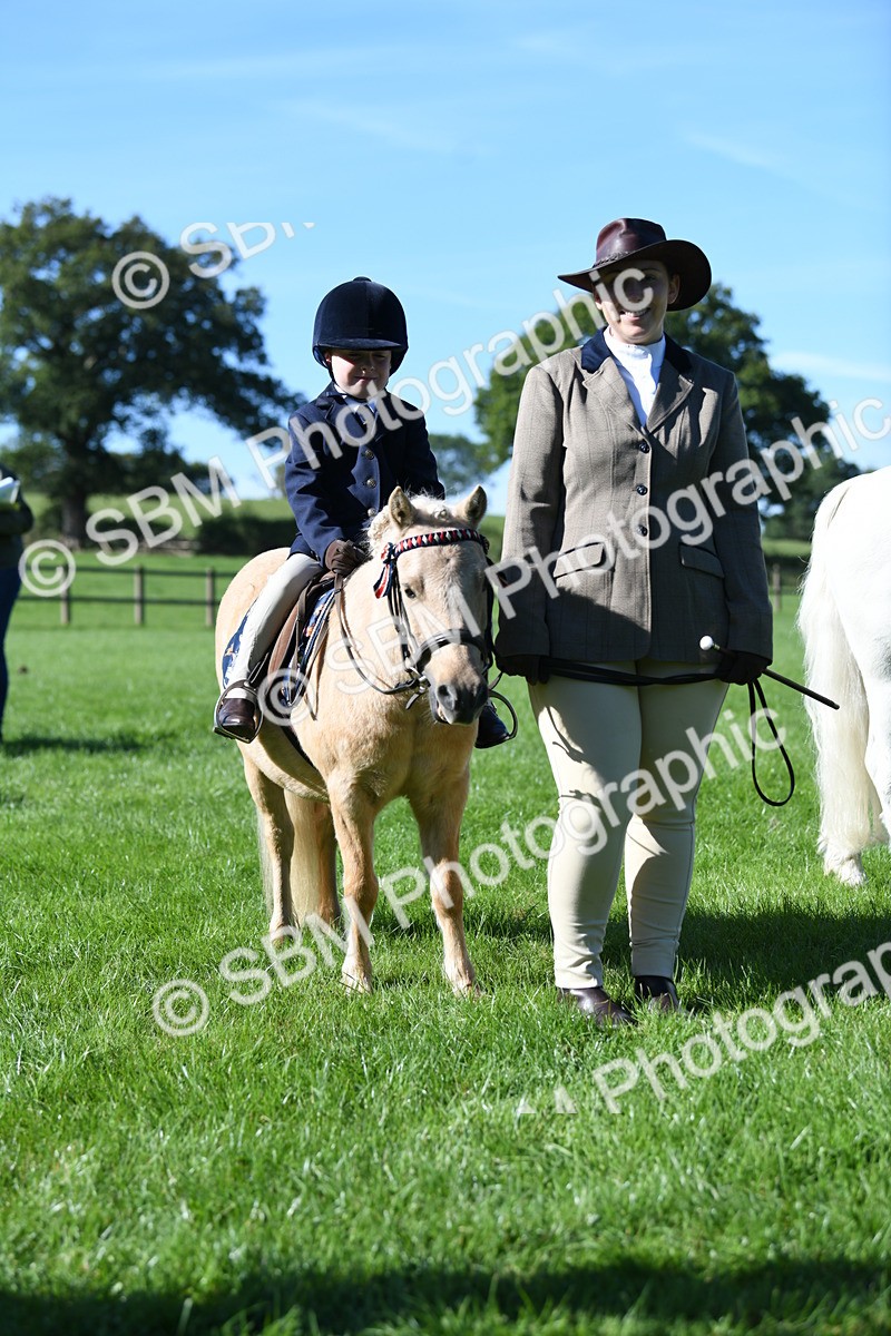 SBM_36958 - S18 - Novice & Newcomers Lead Rein Pony