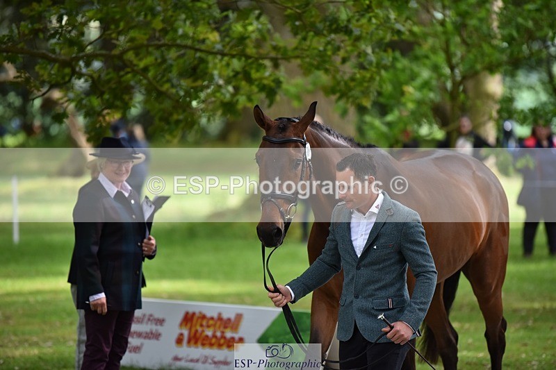 240522-150002-00029 - 301-CAMOUFLAGE-Alexander_Bragg