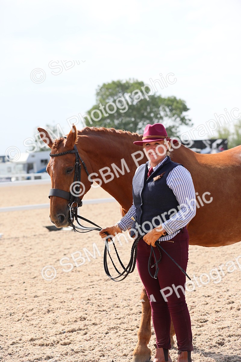 SBM_15772 - Class 312 IH Competition Horse/Pony