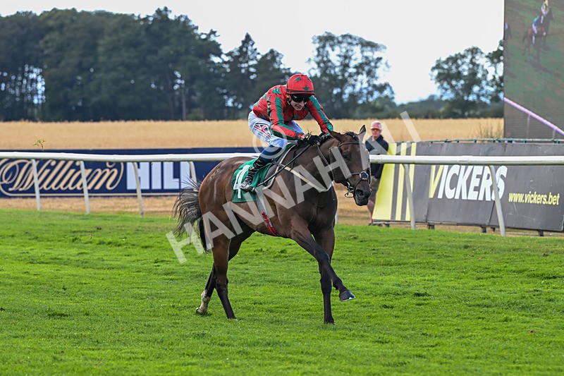 010826-Race 7-Maldevious-3487 - Race 7 16.55pm John Joseph Robson Memorial Handicap