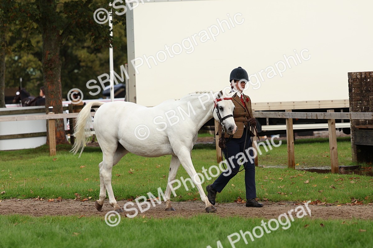 SBM_40713 - S25 -  Veteran In Hand