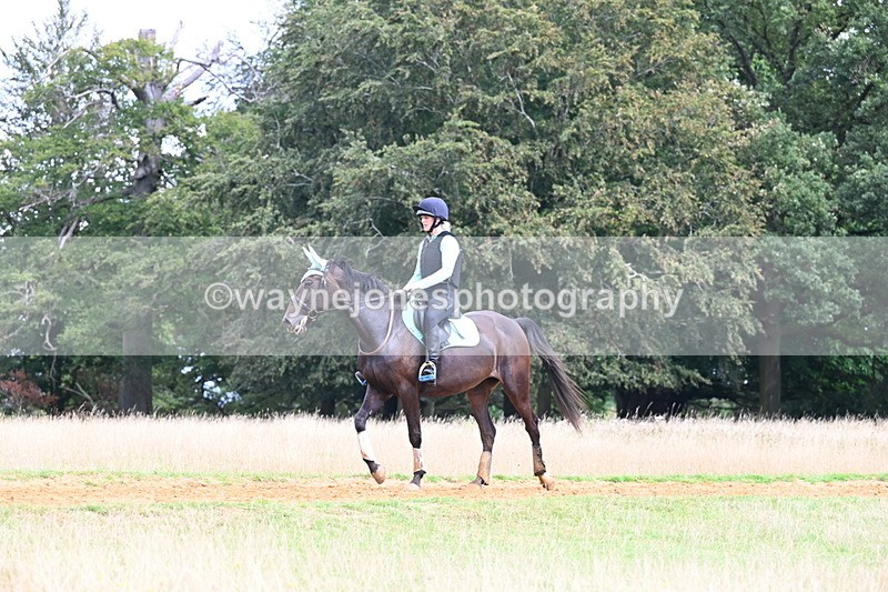 DSC_8030 - Time at Statue 13:52 to 14:33