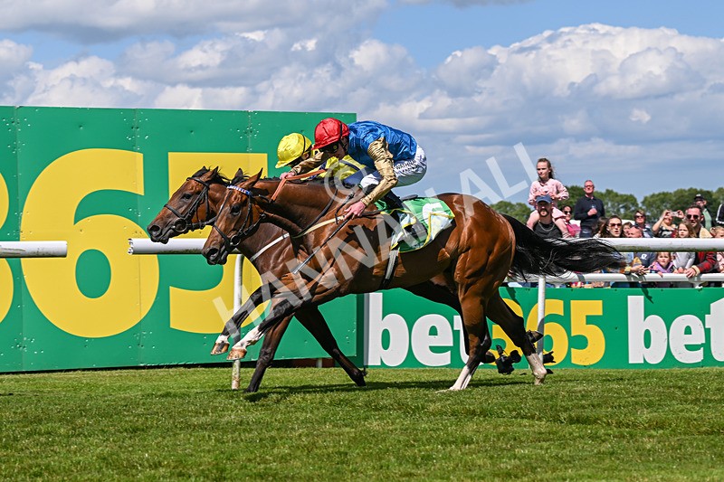 080624-Race 3-Shareholder-1043 - Race 3