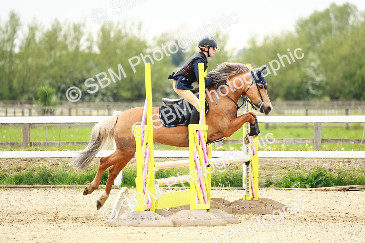 SBM_009106 - Class 5 - 80cm