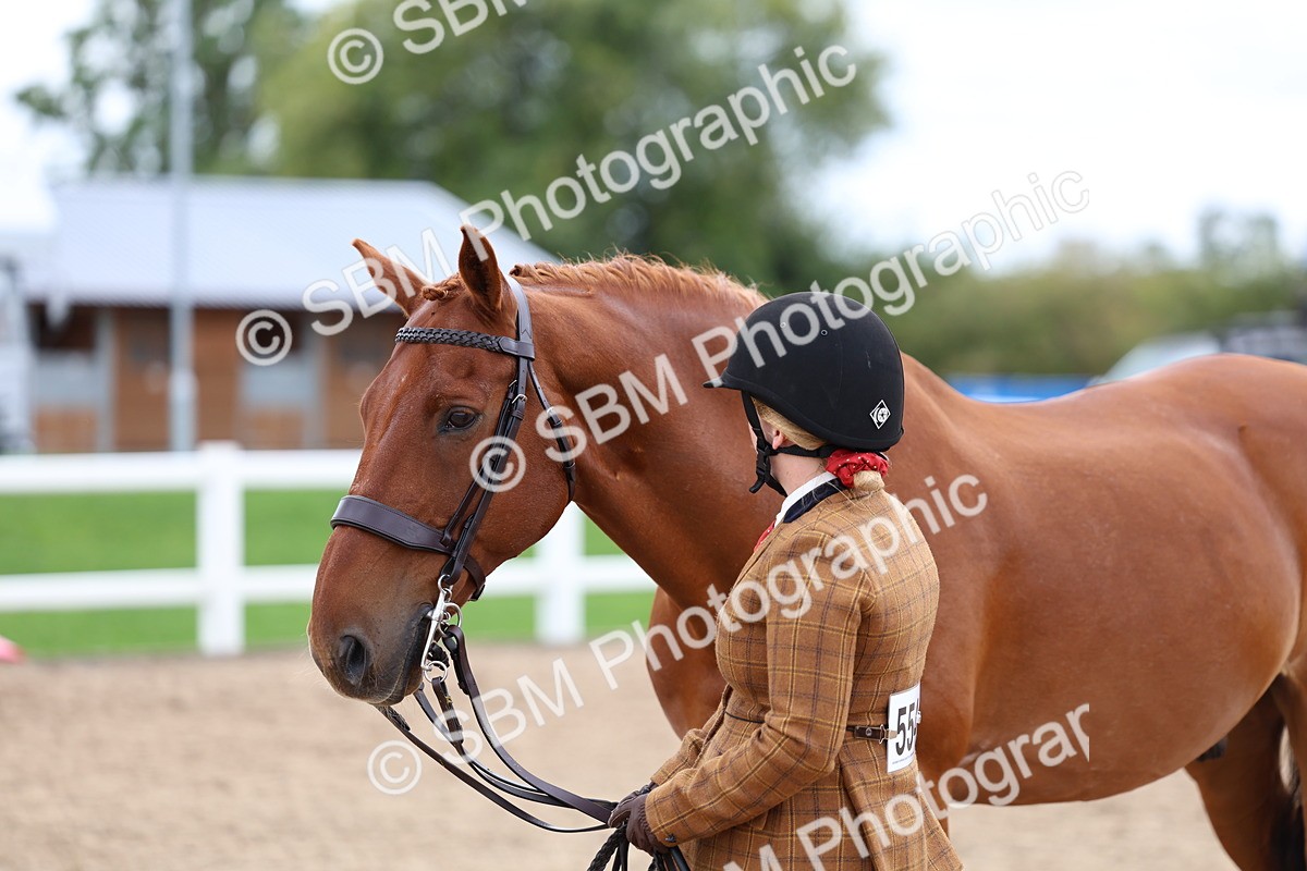 SBM_05067 - Class 27 - IH Competition Horse or Pony