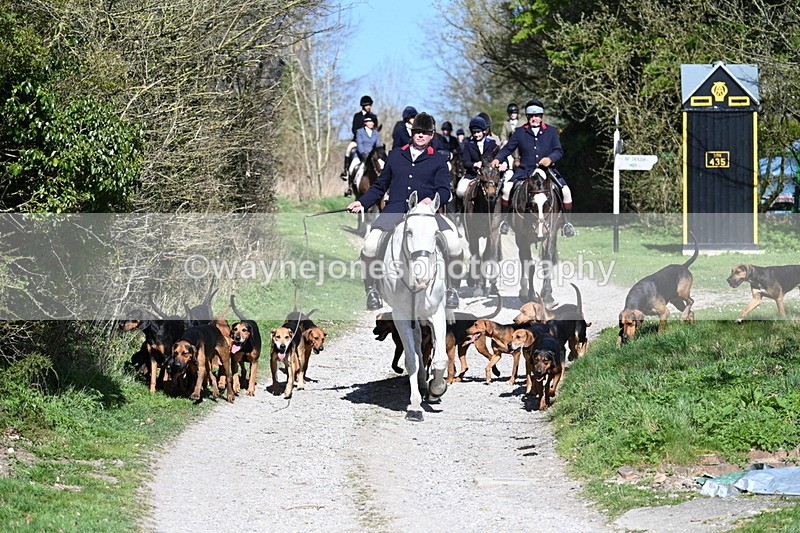 WJ7_9637 - Home for hunt tea !
