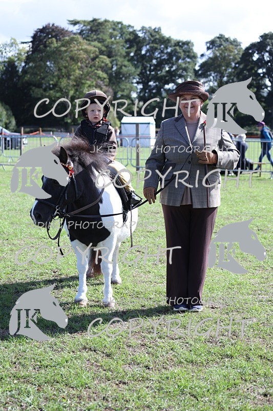 APP_3868 - Class 13 Lead rein