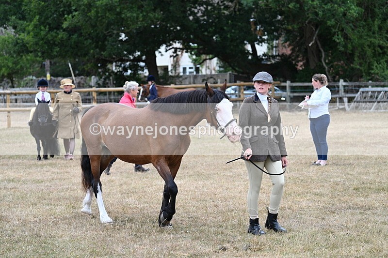 WJ7_8039 - Class 4 Prettiest Mare up to 14.2hh
