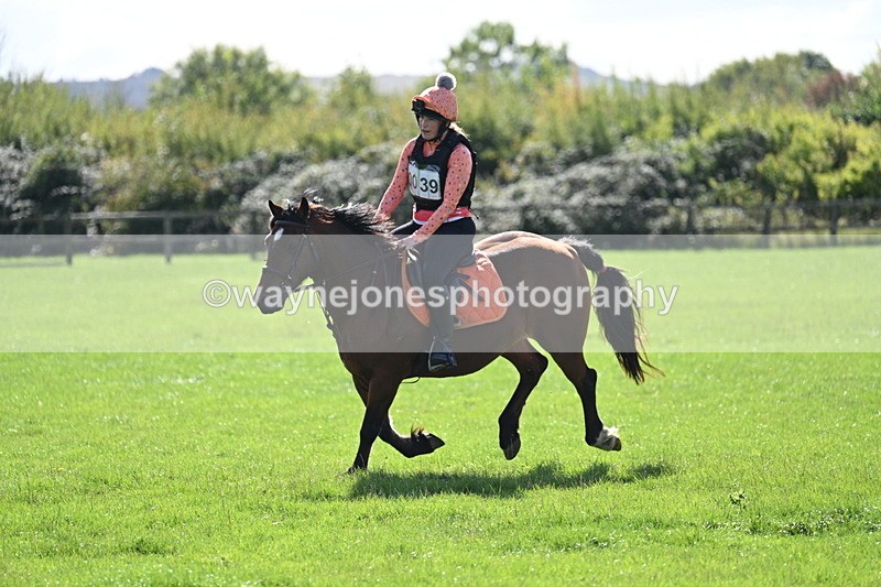 WJ7_1374 - Time 13:56 to 14:24