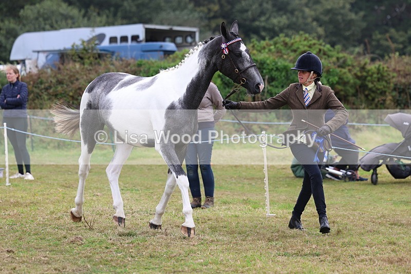 3E7A4291 - Class 15: Two Year Olds