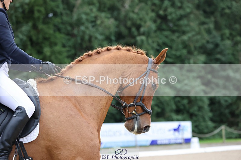 241024-154647-04911 - 240-Lissa.Green-IGOR.G