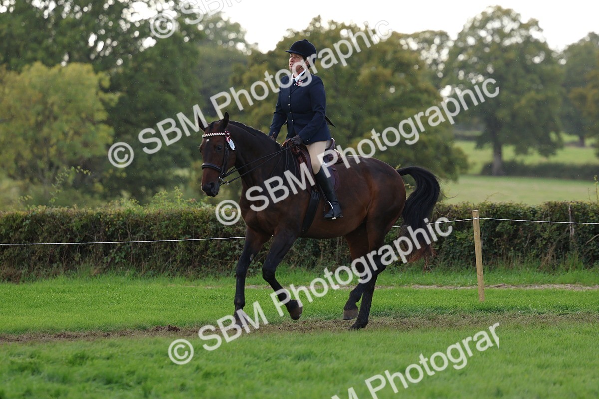 SBM_47691 - S28 - Veteran Ridden