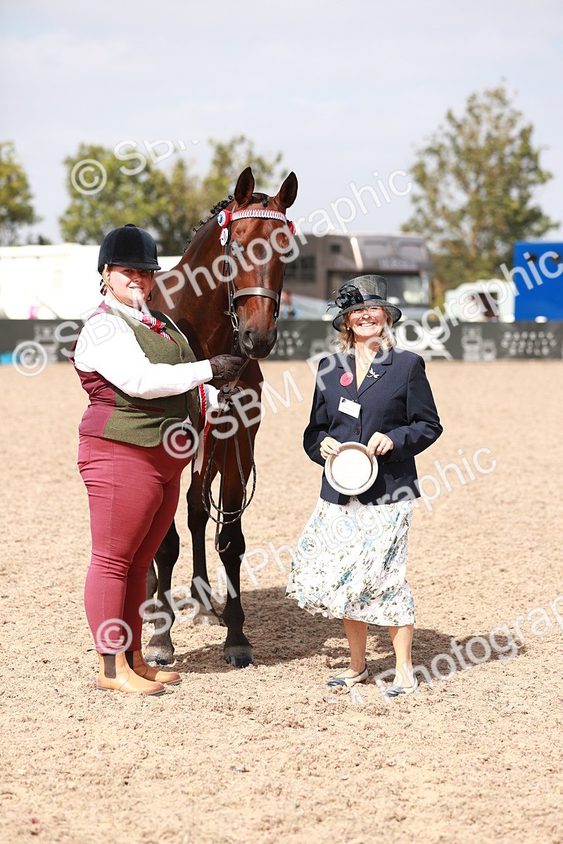 SBM_13297 - Class 208 IH Veteran Horse