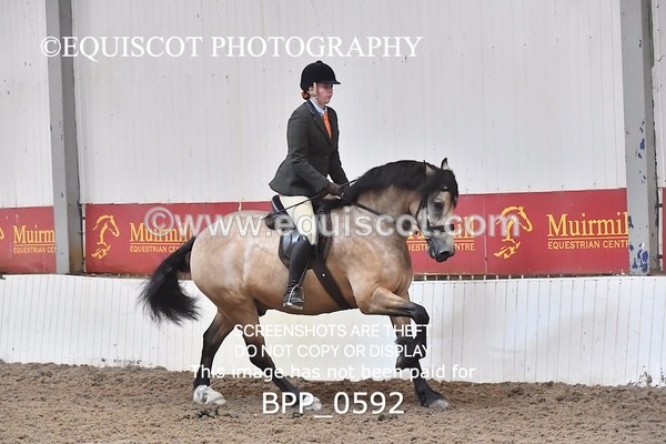 BPP_0592 - RING 2