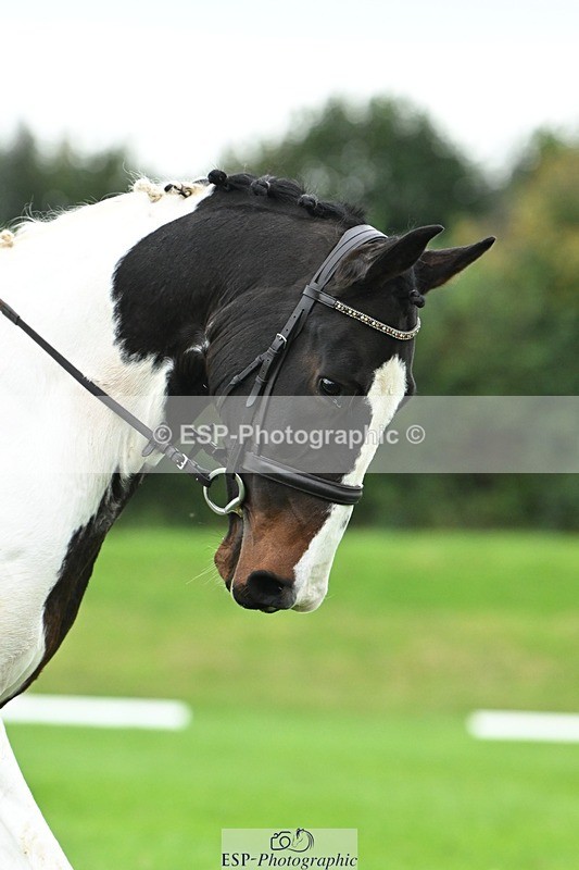 241024-113435-03262 - 508-Connie.Vivian-TEXAS.JACKPOT