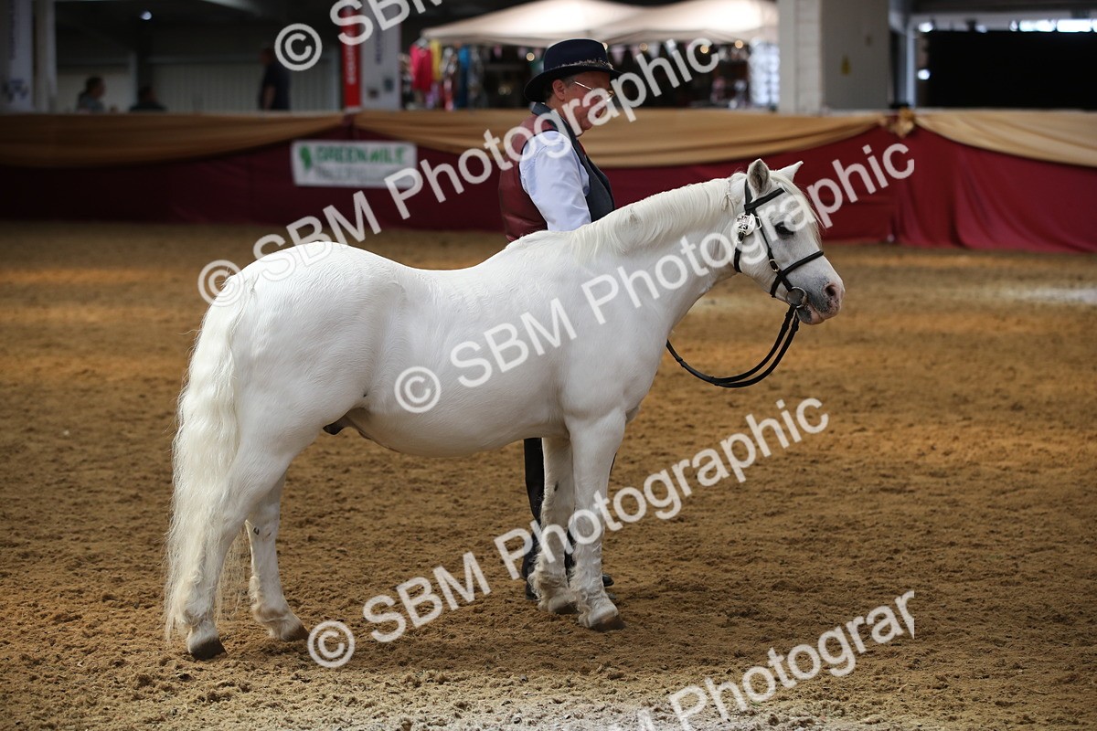 SBM_05442 - Class 8R - Regional IH Veteran