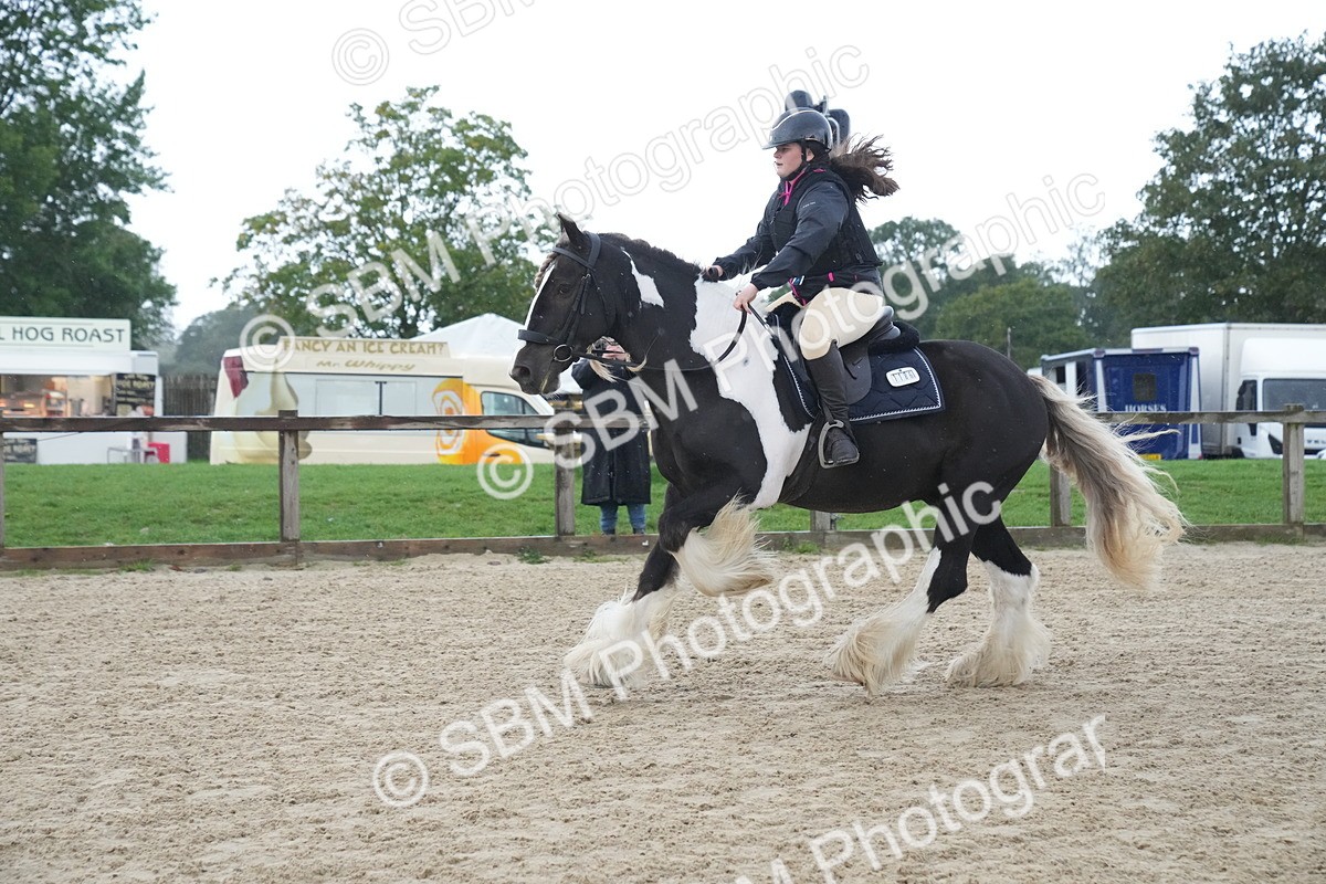 SBM_01580 - J54 - Clear Round 50cm