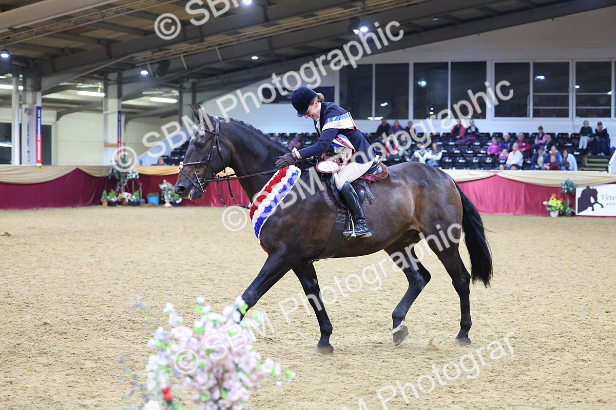 0B8A4707 - Class R Working Veteran Champ