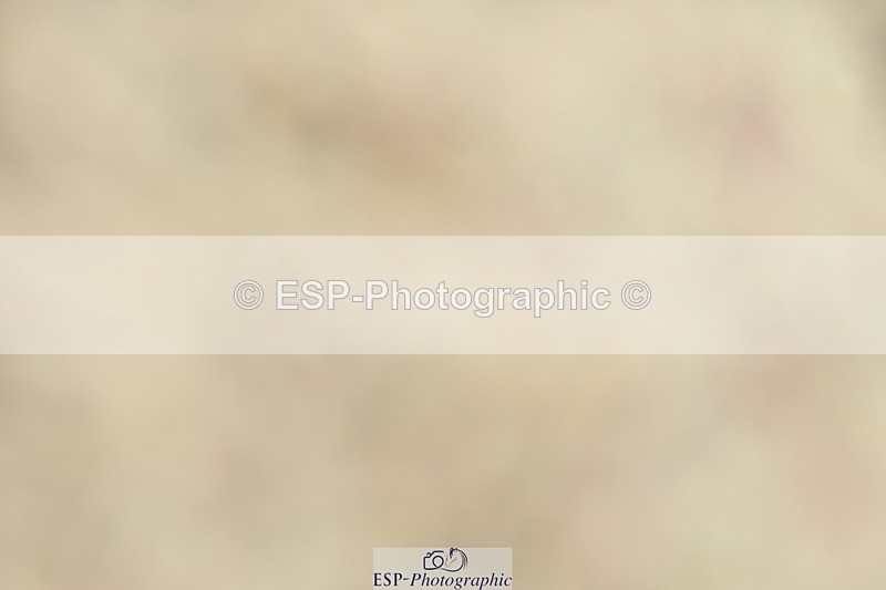 230701A-115911-05625 - Cls 7 Elementary 45