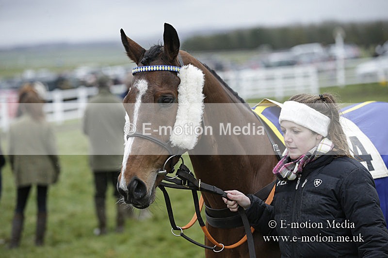 PtP 150320 0254 - New Forest Point-to-Point Larkhill 15/03/20